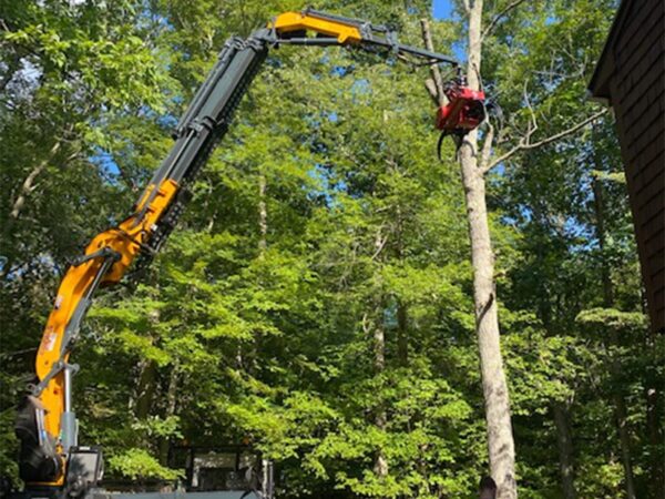 Tree Service